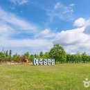 여주민박 이미지