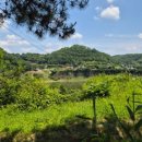 삼화리 동광 캠핑장 이미지