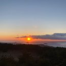 웰니스717 이미지