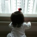 복돼지정육식당 이미지