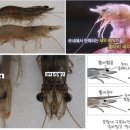 천지유통 이미지