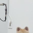 폴인독 이미지