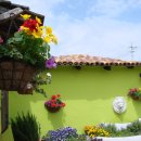 프로방스 이미지