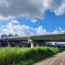 기아대교 이미지