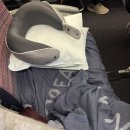 선인리무진 | 샌프란시스코 일주일 여행 코스: 1일차