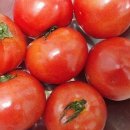 서호농장 이미지