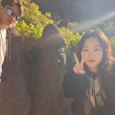 해진농장(2) | 3일차 ; 전주상회 - 천지연 폭포 - 미령이네 감귤농장 체험 - 고사리해장국 - 한화리조트 - 교래흑돼지