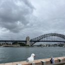 씨유다운타운점 | [해외 여행] 호주 시드니 여행 후기 3탄_SYDNEY 🇦🇺 🐨
