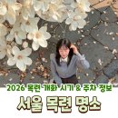 돌모루(어린이공원) | 2026 서울 목련 개화 시기 포토존 카페 봄 나들이 데이트