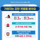 그루밍제주 이미지