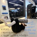 팀타이거짐1 이미지