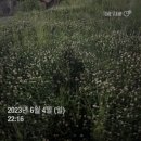 2023.06월 일상 #1