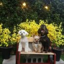 멍스토리 이미지