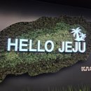 미영카 | [제주도여행] 11월 제주도 대가족 여행 1일차 (미영이네횟집, 카멜리아힐, 돈고팡, 풀스테이씨에로)