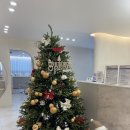 더네일샵 | 김해네일샵추천 전국최대네일샵 더네일 발각질제거후기