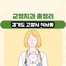 위시티아름다운의원 | 경기도 고양시 식사동 교정치과 총정리