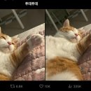 시샘달아뜰리에 이미지