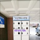 번동청과