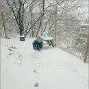 숲어린이집 이미지