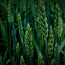 나래기업 이미지