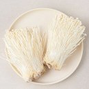 피트니스 롬 이미지