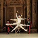 서울시티발레단 동화발레극 ’백조의 호수’ 이미지