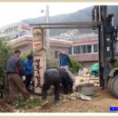 장승농장 이미지