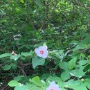 공일(空日)인가, 홀리데이(Holy Day)인가 이미지