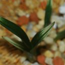 자산동011 이미지