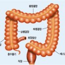 대장 이미지