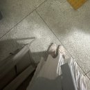 더블민 | [라까사 호텔_스위트룸 객실 후기 / 하운드 호텔 강릉_디럭스 테라스 더블 오션룸 후기 / 4월 모음 zip]