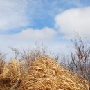 바다마중 이미지