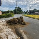 대광농장2 이미지