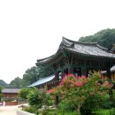 신흥사 - 중구 | 신흥사