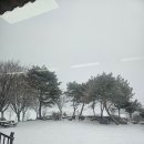 타이어테크 | [HGG테크 스노우타이어체인 후기] 겨울 대비는 이걸로 끝!