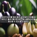 치아에 좋은 음식7가지 이미지