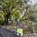 세븐일레븐 아차산프리미엄점 이미지