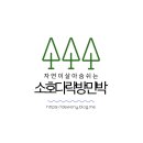 대가한우암소