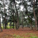 해송수산 이미지