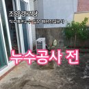 조양경로당 네이버블로그