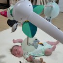 엠오토모빌 | 비싼 돈 주고 사지마세요! 육아 가성비템 내돈내산 추천