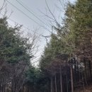 고동산민박 이미지