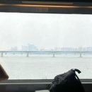 양평] 에어비앤비 한적한 감성 독채 숙소 추천 내돈내산 양평 여행 후기 🏡 (feat. 양수역 고무줄박사님)