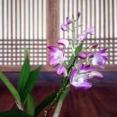 그대안의 풍경 이미지