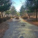 연암공원 | 수원 광교 연암공원 산책로 솔직 후기