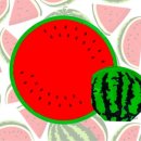 가좌 승리태권도장 이미지