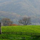 서정목장 이미지