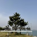 풍경이 머무는 곳 | 안면도 황도 섬 펜션 달이 머무는 바다 B4 후기