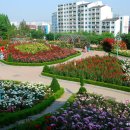 도당공원 이미지