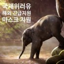 사회과학 : 사회과학 (社會科學) Social Science ⇒ 인류학 (人類學) Anthropology / 의료인류학 (醫療...